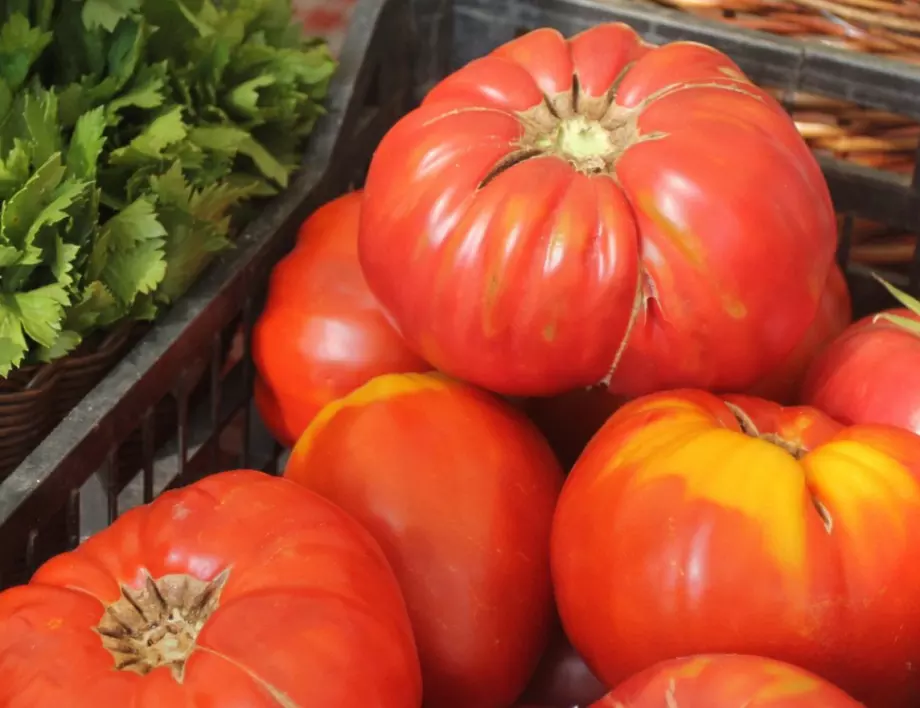 Много прост начин за отглеждане на домати вкъщи
