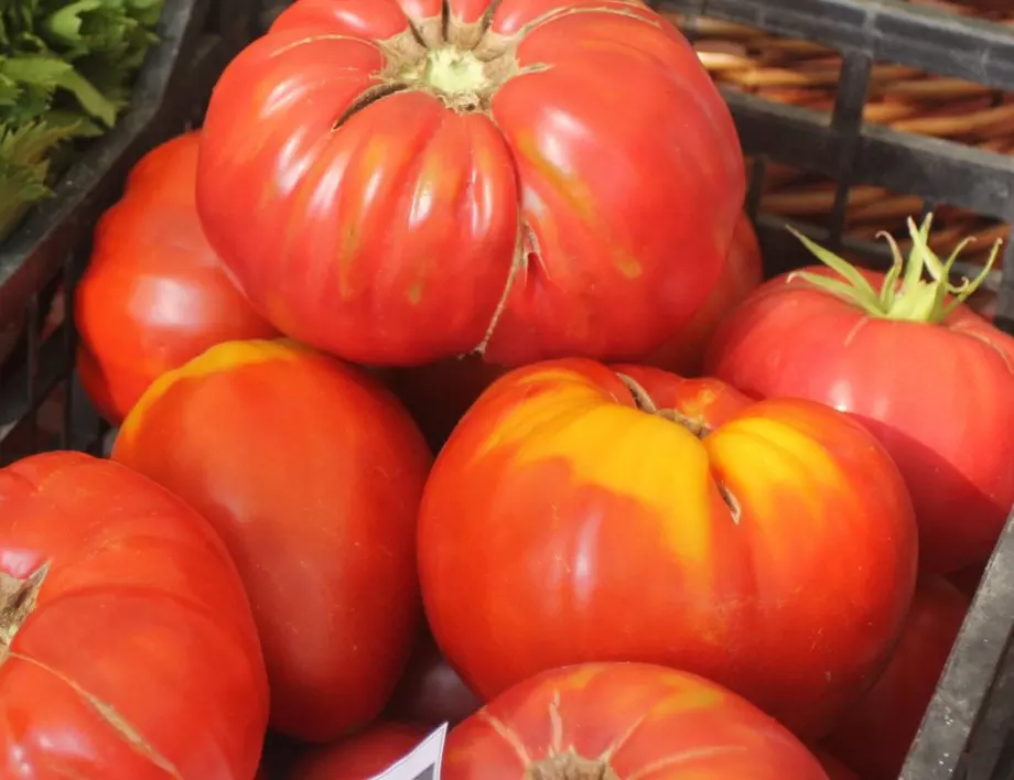 Ето как да отгледате едри домати, които не се напукват