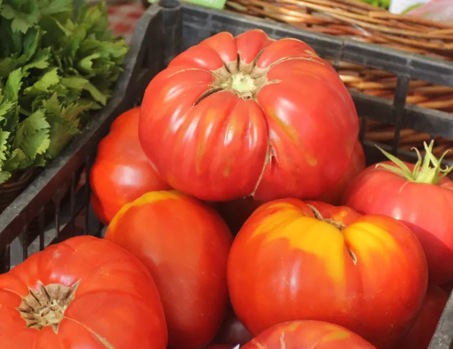 Как да отгледате гигантски домат "Биволско сърце"