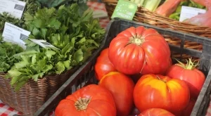 Учени: Хапвайте домати всеки ден за дълъг живот