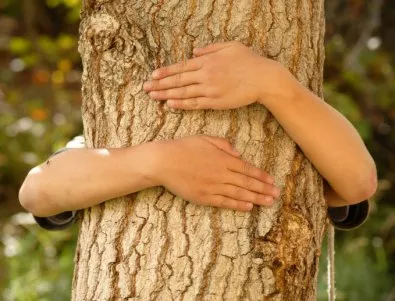 Дърветата - в ролята на най-добър приятел на човека (ВИДЕО)