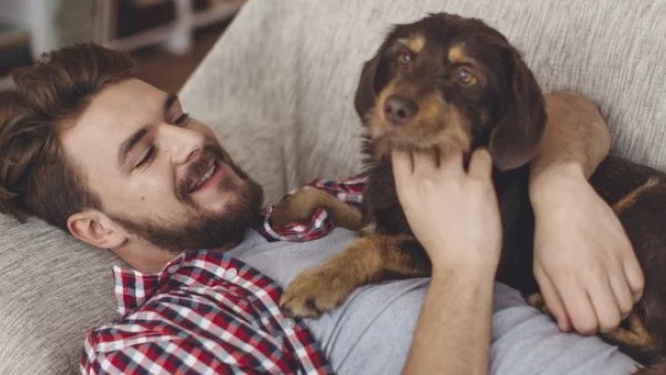 Кучетата предпочитат любовта на човека пред храната