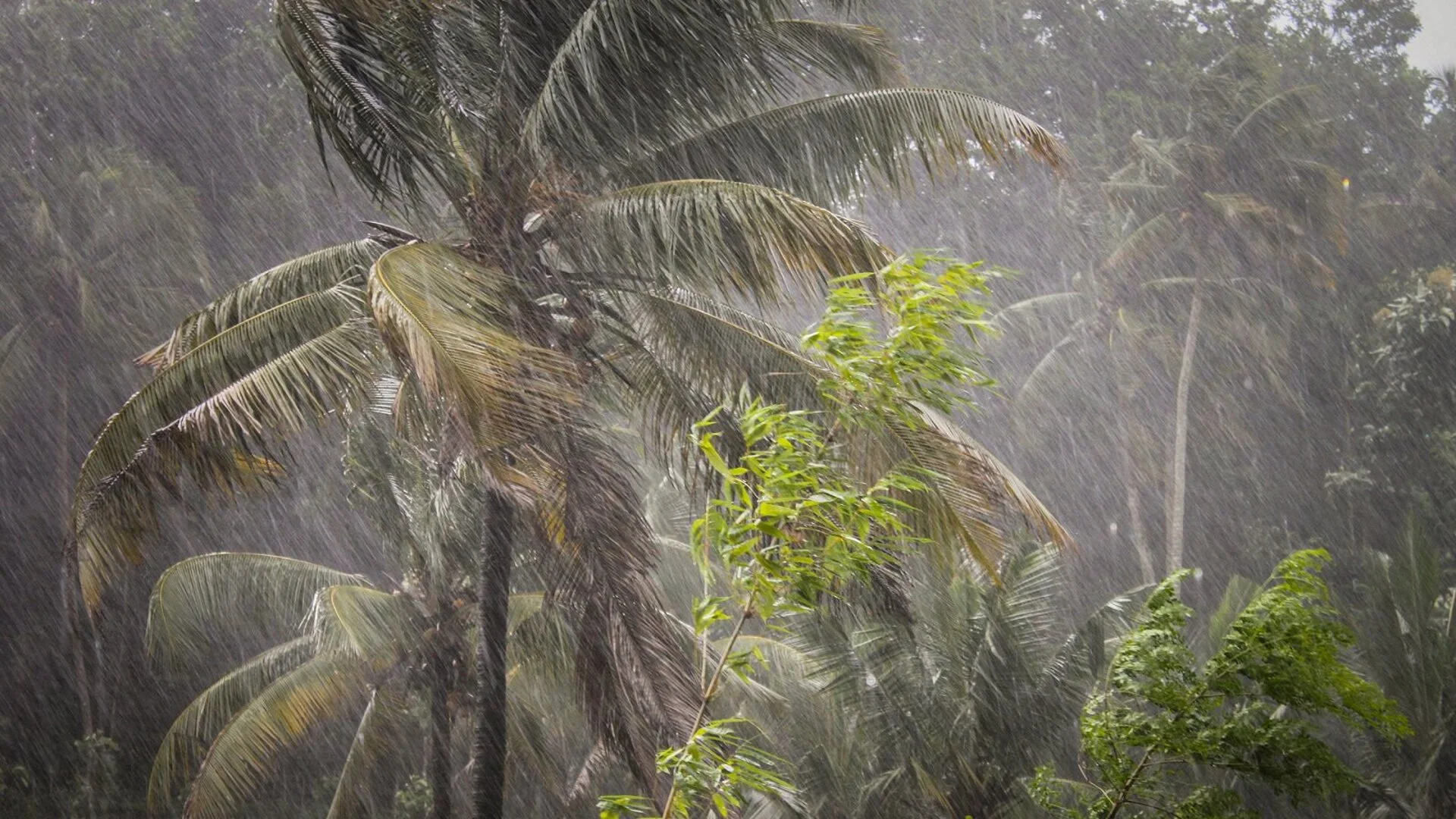Проливни дъждове в Бразилия, жертвите са десетки