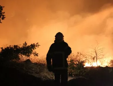Пожар в близост до гора в местността Траката край Варна