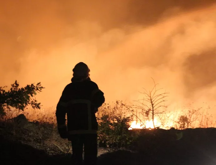 Голям горски пожар бушува край Смолян