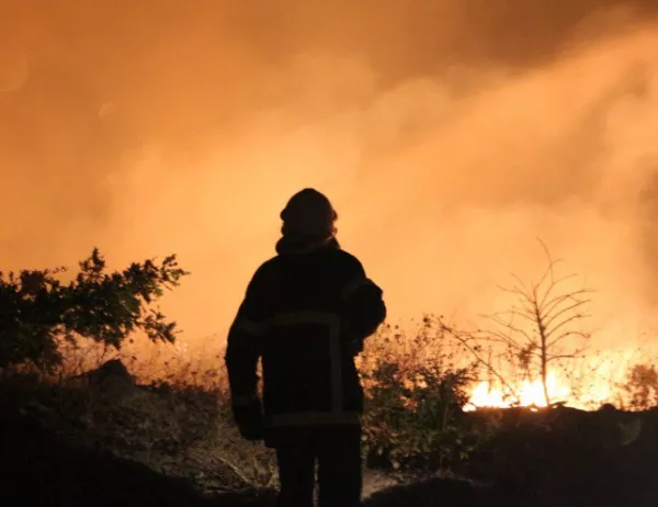 Пожар край петричкото село Златарево