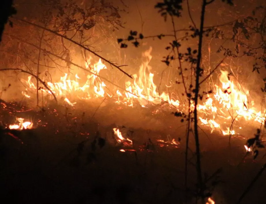 Пожар пламна близо до "Потопената църква" край "Жребчево"