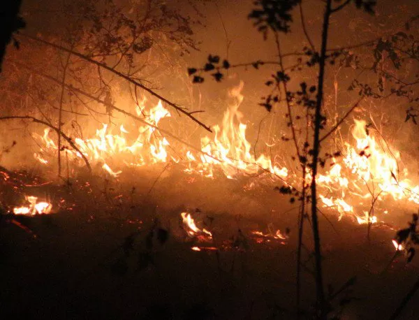Пожарът между харманлийските села е локализиран