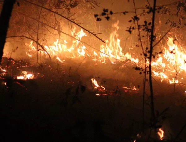 200 декара земеделски имоти изгоряха край границата с Гърция