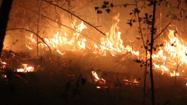 200 декара земеделски имоти изгоряха край границата с Гърция