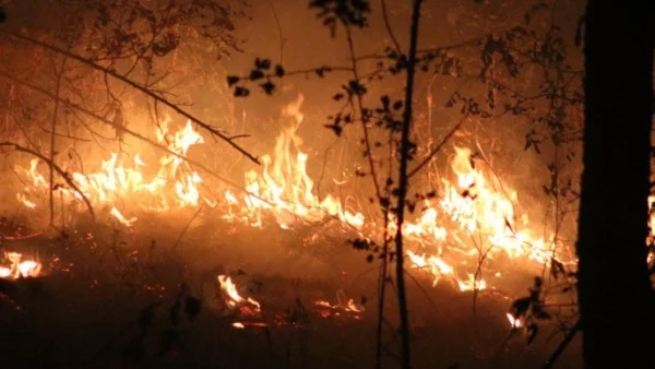 Албания се бори с 16 големи пожара