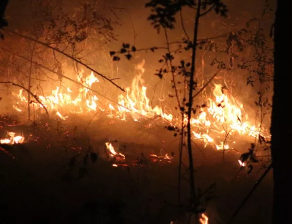 Голям пожар горя край Ямбол