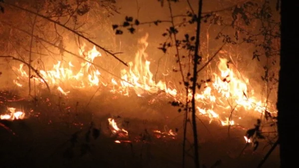 Голям пожар горя край Ямбол