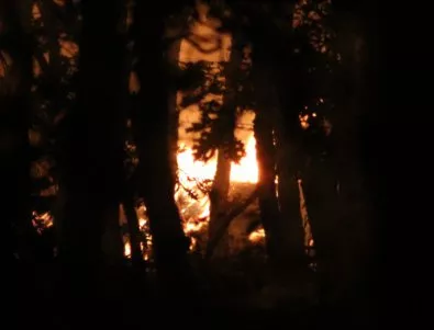 Огнеборци гасят пожар, обхванал над 500 дка край хасковското село Хухла
