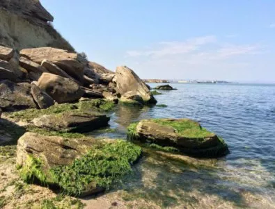 Морето изхвърли тялото на 11-годишна чешка туристка край Слънчев бряг