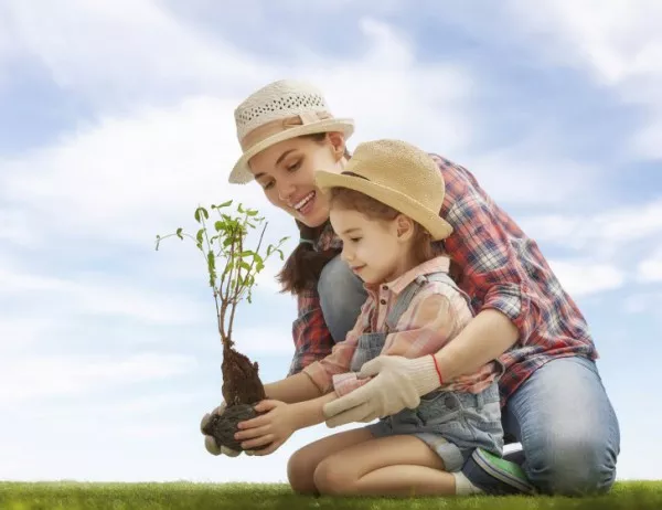 За девета година родители от Димитровград засаждат дръвчета в „Алеята на новия живот“