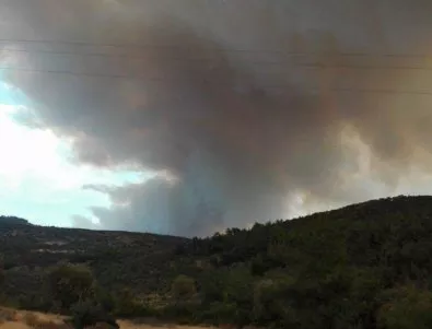 Пожар бушува на остров Тасос, две селища са евакуирани (ВИДЕО)