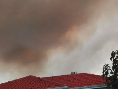 Овладени са големите огнища на пожарите на остров Тасос