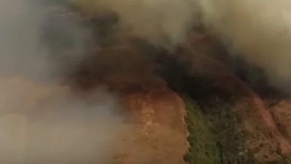 Природозащитници питат: Защо държавата не реагира на пожарите в Калиакра? (ВИДЕО)