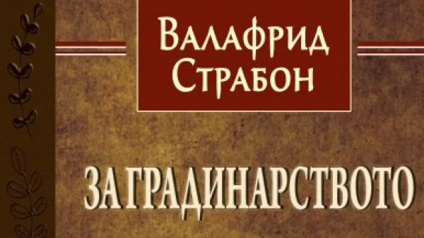 Откъс от "За градинарството"  от Валафрид Страбон