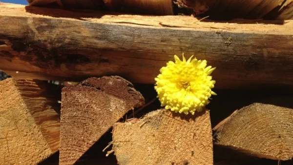 Прогноза за времето - 13 юни (сряда)