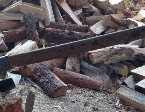 Шест бързи производства за дървесина без контролна марка в Старозагорско