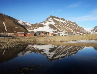 В Норвегия влакове погубиха за няколко дни над 100 елена