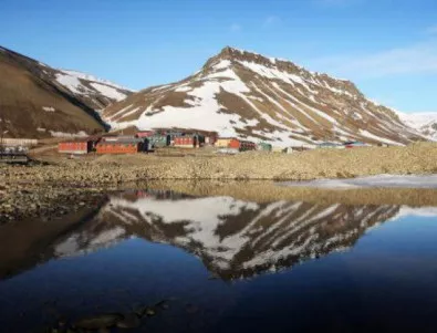 Северните елени се крият от рекордната жега в тунелите на Норвегия