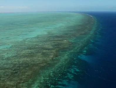 Големият бариерен риф е на смъртен одър (СНИМКИ)
