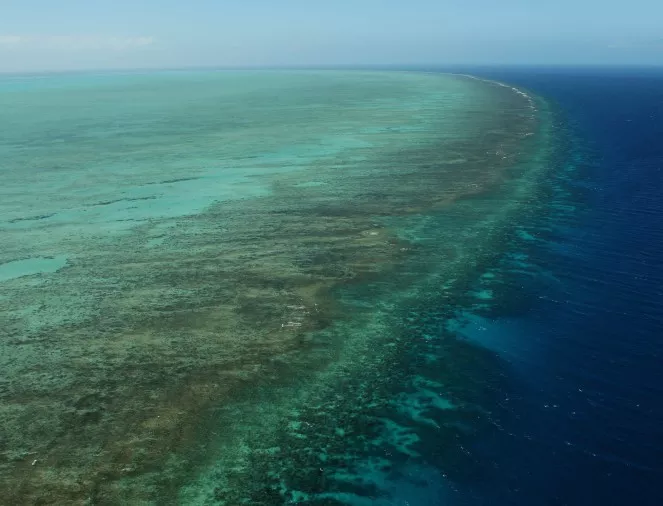 Големият бариерен риф е на смъртен одър (СНИМКИ)