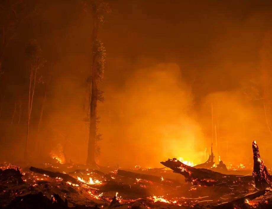 Пожарникари спасиха хасковско село от стихията, и военни се включват в борбата с огъня