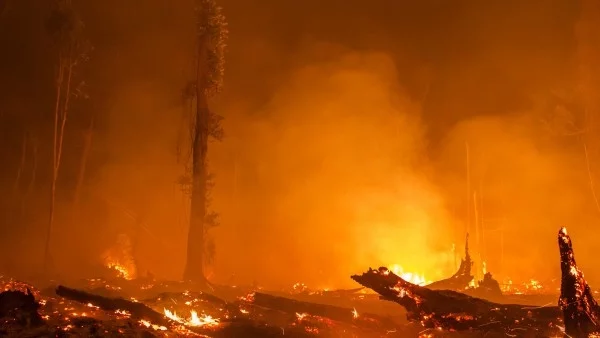 30 души загинаха при пожар край Сан Франциско 