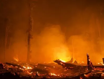 Разби се самолет, участващ в гасенето на пожарите в Протугалия 