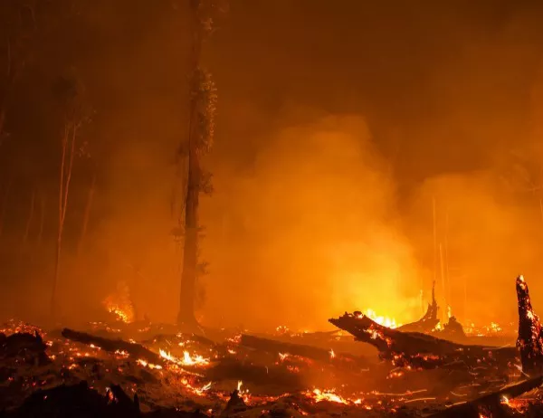 Локализиран е пожарът в Монатанско