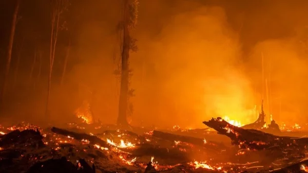 Трети ден продължават пожарите в Гърция