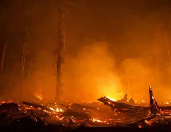 Продължава борбата с пожарите в Хасковско, Борисов съдейства за справяне с огъня