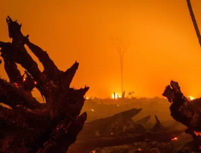 Заради пожарите: Обстановката в Хасковска област е критична