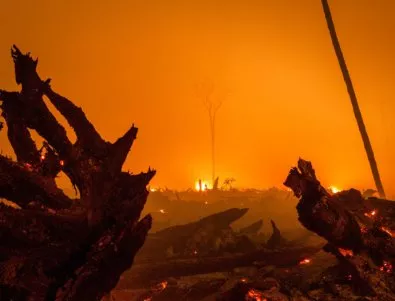 1,3 млн. дка гори и пасища горят в Чили. Има загинали