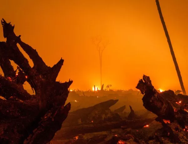 Броят на загиналите при горските пожари в Португалия достигна до 62 души