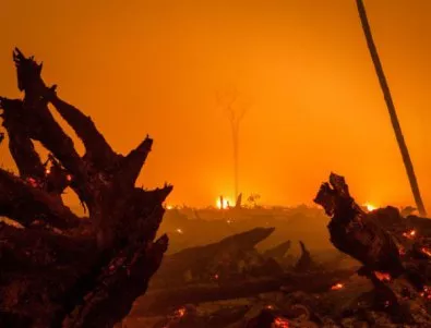 Евакуираха хиляди заради огнения ад в Калифорния (ВИДЕО)