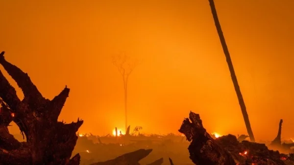 В Албания една трета от армията гаси пожарите
