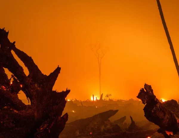 Португалия поиска съдействие от Европа, за да се справи с пожарите