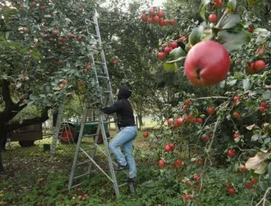 Италия прие нов строг закон за защита на сезонните работници