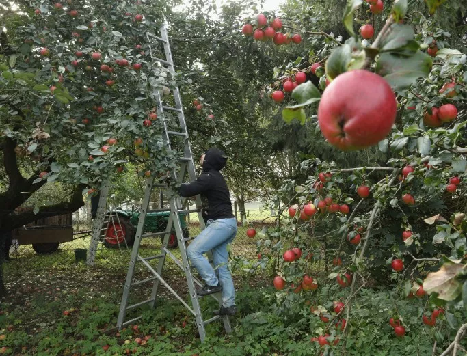 Италия прие нов строг закон за защита на сезонните работници