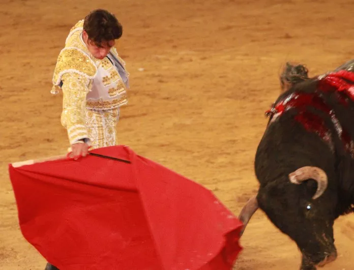 Конституционният съд на Испания отмени забраната за борби с бикове в Каталония