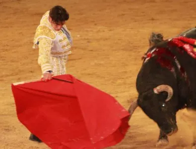 В Майорка ще се състои първата борба с бикове от две години 