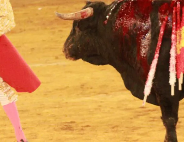 Трима души са били стъпкани при надбягване с бикове на фестивала "Сан Фермин"