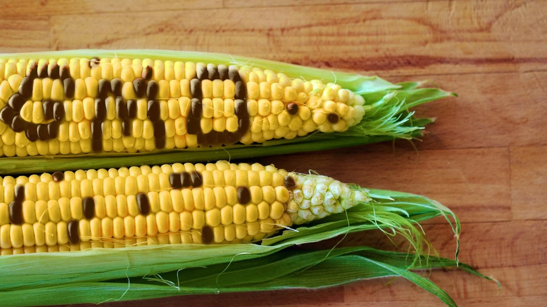 "Искаме по-качествена храна!": Еколози искат кабинетът да запази строгия закон за ГМО