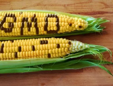 ДАЗД: Няма сигнали за участия на деца в реклами на ГМО храни
