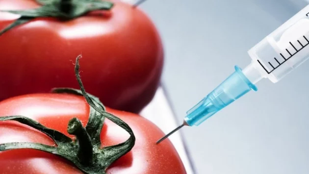 Забраниха участието на деца в реклами на нездравословни храни и ГМО